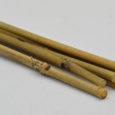 17. PODPORA DO ROŚLIN BAMBUSOWA TYCZKA 60 CM 10SZT PROGARDEN