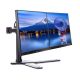 16. Uchwyt Iiyama DS1002D-B1 - stand z ramieniem regulowanym