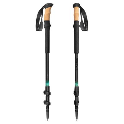 6. Kije trekkingowe Spokey Zodiac 105-135 cm trzysegmentowe SPK-944819