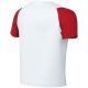 2. Koszulka dla dzieci Nike Dri-Fit Academy II biało-czerwona HV8168 102