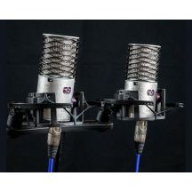 Para mikrofonów pojemnościowych Aston Microphones Origin Stereo Pair