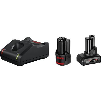 Bosch 1 x GBA 12V 2.0Ah + 1 x GBA 12V 4.0Ah + GAL 12V-40 Professional ładowarka akumulatorów Akumulator do domowego użytku Prąd przemienny