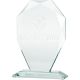 6. Trofeum szklane z grawerowerką 3D z etui