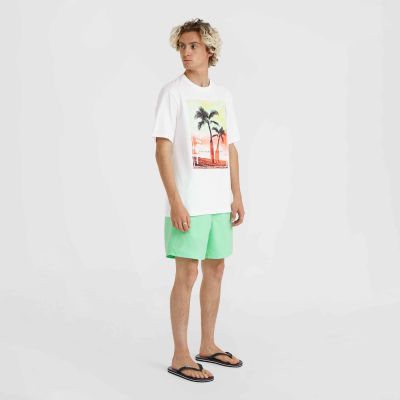 8. Koszulka O'Neill Jack Neon T-Shirt M 92800613598