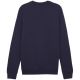 9. Bluza Puma Team Goal Casuals Crew Neck Sweat M 658592 06
