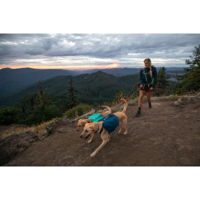 8. Plecak dla psa Ruffwear Front Range Day Pack - blue moon rozmiar: xs