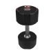 37. Hantel Body Sculpture TPU BW 133 14 KG
