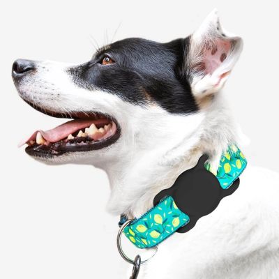 2. Etui Wozinsky WEA-01 na Apple AirTag silikonowe na obrożę psa lub kota - czarne
