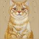 6. Etui Nimmy Lucky Fashion Cat MagSafe na iPhone 17 Pro Max - brązowe