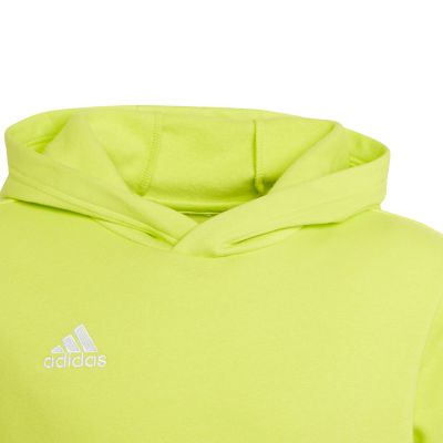 7. Bluza adidas Entrada 22 Hoody Jr HC5069