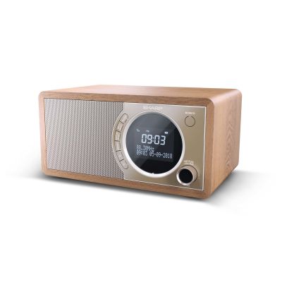 3. Radio cyfrowe Sharp DR-450(BR) z technologią Bluetooth