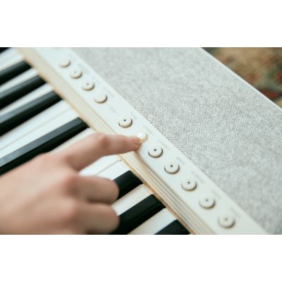 12. CASIO CT-S1 WE - Keyboard