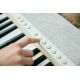 12. CASIO CT-S1 WE - Keyboard