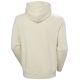 6. Bluza Helly Hansen Core Graphic Sweat Hoodie M 53924 034