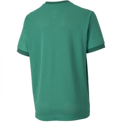 2. Koszulka Puma teamGOAL 23 Jersey Jr 704160 05