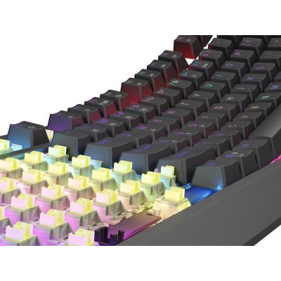 13. GENESIS Thor 230 TKL klawiatura Gaming USB + RF Wireless + Bluetooth QWERTY US English Czarny