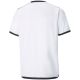 2. Koszulka Puma teamLIGA Jersey Jr 704925 04