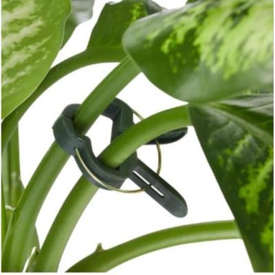 7. SPINKI KLIPSY DO ROŚLIN 20SZT KINZO