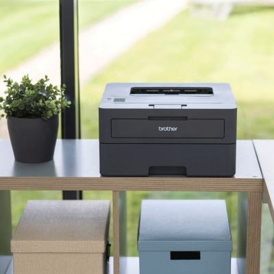 19. Drukarka Brother HL-L2445DW szary