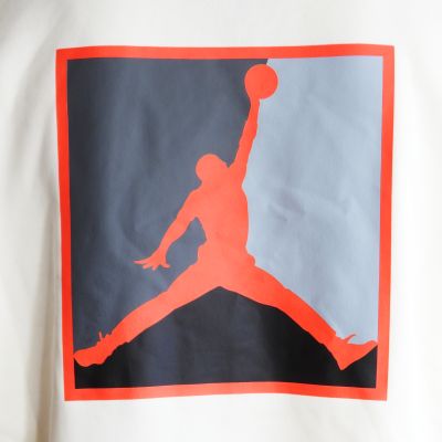 7. Bluza z kapturem Air Jordan Brooklyn Fleece Graphic Pullover - HV0544-110
