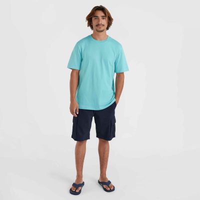 5. Spodenki O'Neill Essentials Chino Shorts M 92800613369