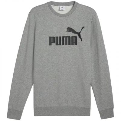 Bluza Puma ESS No.1 Logo Crew TR M 682560 03