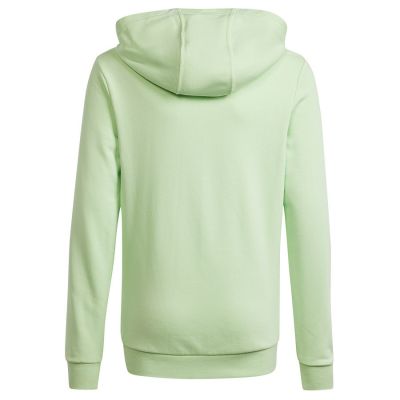 5. Bluza adidas Big Logo Hoodie Jr IS2591
