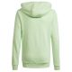 5. Bluza adidas Big Logo Hoodie Jr IS2591