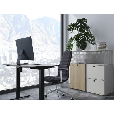 7. Wyposażenie biurka w pojedynczy silnik elektryczny 70Kg sw lite Spedycja, Wysyłka