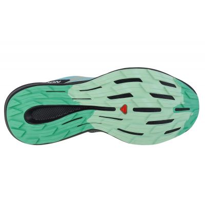 4. Buty do biegania Salomon Pulsar Trail W 472104