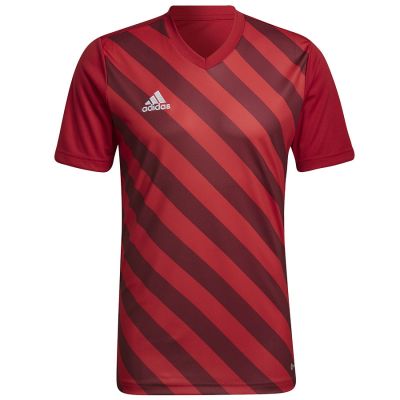 8. Koszulka adidas Entrada 22 Graphic Jersey M HB0572