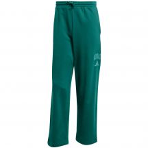 Spodnie adidas Collegiate M JM9178