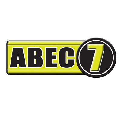 13. Łożyska ABEC-7 CARBON (8 szt.) NILS EXTREME 16-31-004