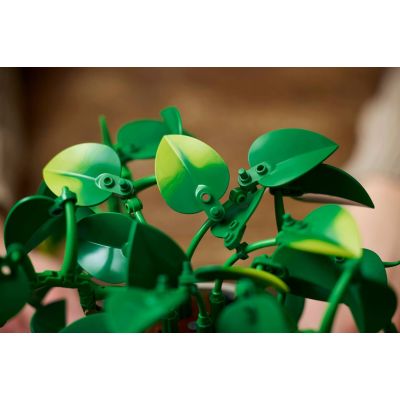15. LEGO Botanical Collection 11512 - Wiszące epipremnum złociste