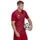 11. Koszulka adidas Entrada 22 Graphic Jersey M HB0572