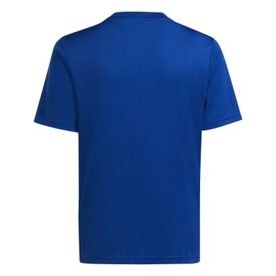 2. Koszulka adidas Team Icon 23 Jr HR2654
