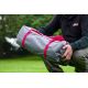 6. Namiot 2-osobowy Coleman Bedrock 2 - grey
