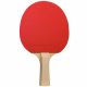 19. Cornilleau Zestaw FAamily Pack Indoor