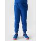 2. Spodnie dresowe 4F Jr 4FJWMM00TTROM0811-36S