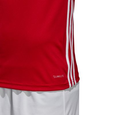 5. Koszulka adidas Regista 18 Jersey M  CE1713