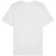 10. Koszulka Puma ESS Small Logo Tee M 682538 02