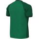 2. Koszulka dla dzieci Nike Dri-FIT Trophy VI zielona HV8158 302