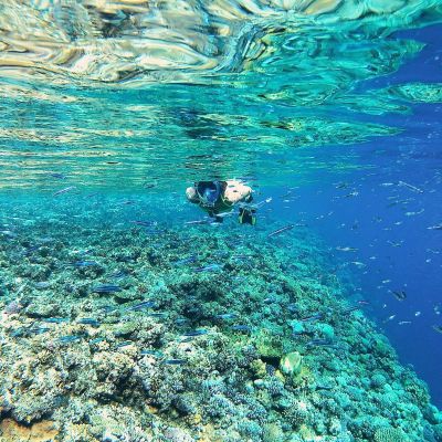 7. MASKA DO NURKOWANIA SNORKELINGU JUNIOR BEST SPORTING