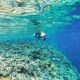 7. MASKA DO NURKOWANIA SNORKELINGU JUNIOR BEST SPORTING