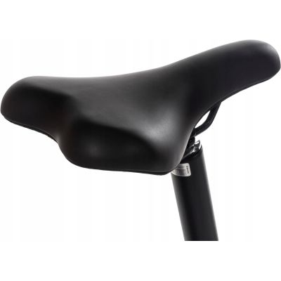 Rower elektryczny składany Snapp City-E Grafit