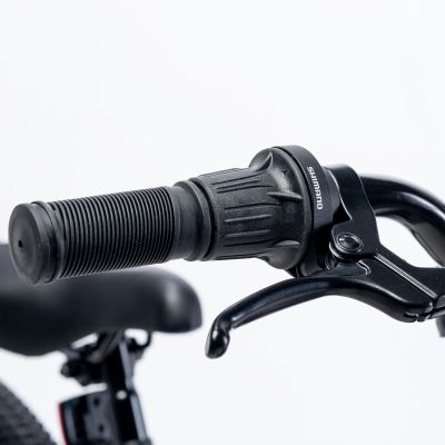 8. Dziecięcy Rower Martes Essentials Ninja 20 92800597994