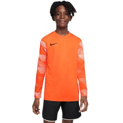 Koszulka Nike Dry Park IV JSY LS GK Jr CJ6072-819