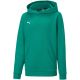 5. Bluza Puma teamGOAL 23 Casuals Hoody Jr 656711 05