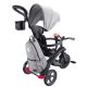 9. Rowerek EXPLORER TRIKE 4w1 DELUXE PLAY (636-120)