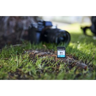 10. Karta pamięci Kingston Canvas Go Plus SDG4/1TB (1TB; Class U3, V30; Karta pamięci)